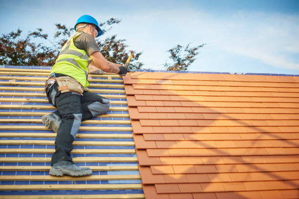 Sheet Metal Roofing in Springerville, AZ